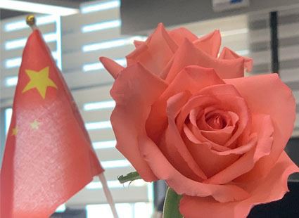 Glad 8 mars kvinnodagen